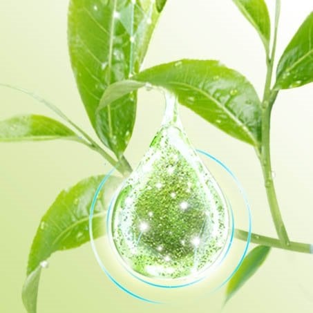 190507 Ingredient 453x453 Matcha 2